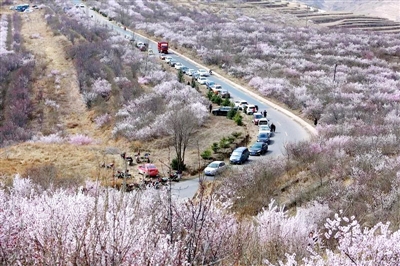 CgsCG16M-C6AHQjnAAIOp4Llp4I745.jpg