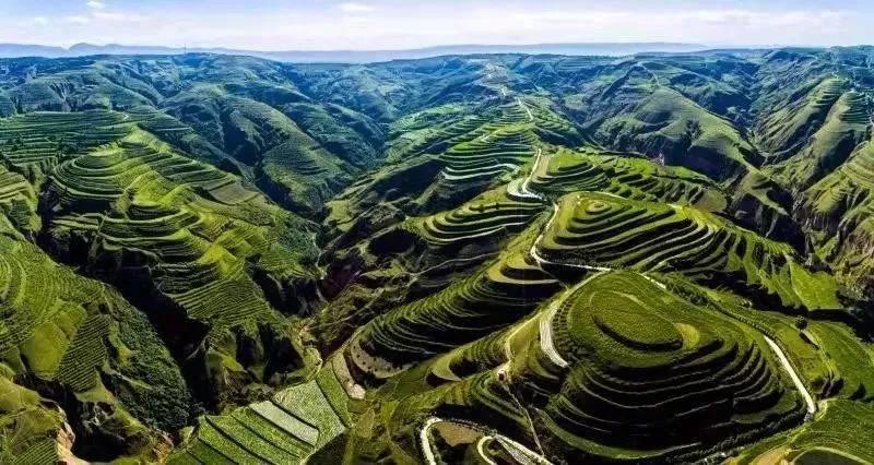 微信图片_20200812090312.jpg