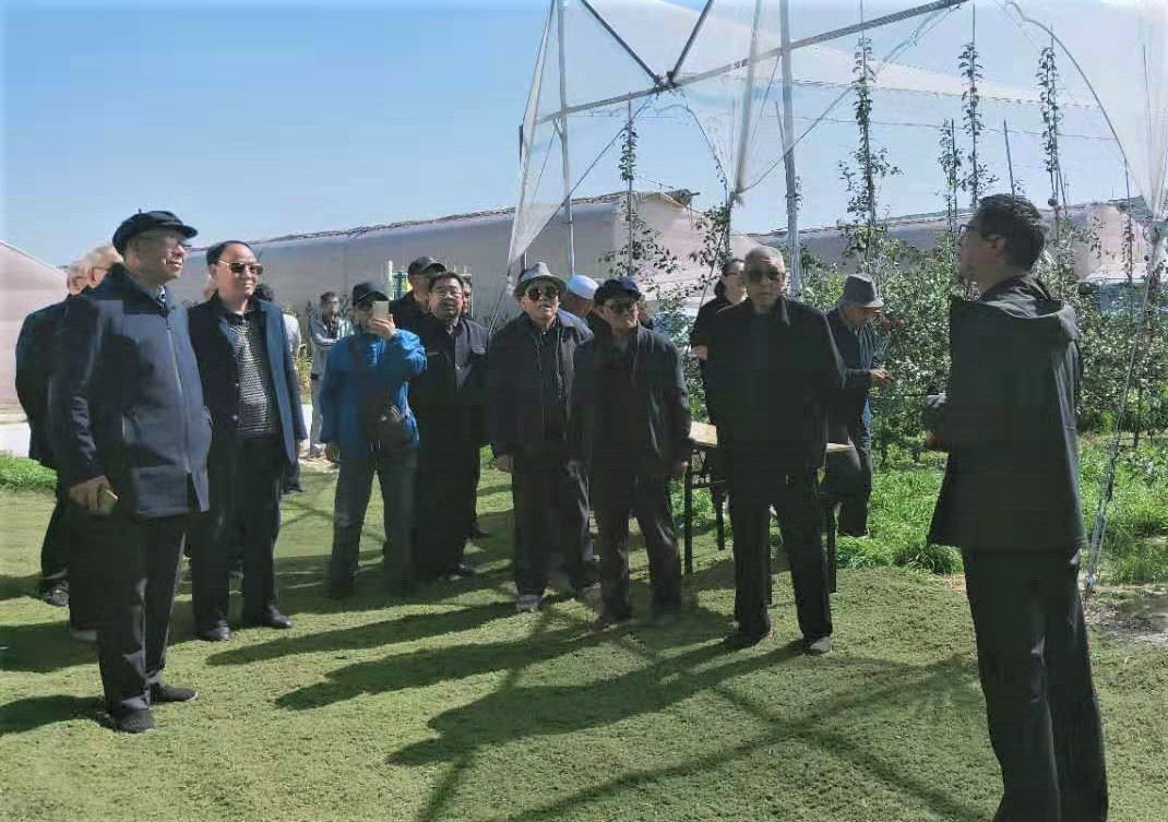 组织老干部进行全县经济社会发展观摩77777.jpg 组织老干部进行全县经济社会发展观摩77777.jpg
