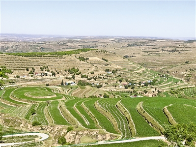 <p>　　　　彭阳县姚河塬。</p>