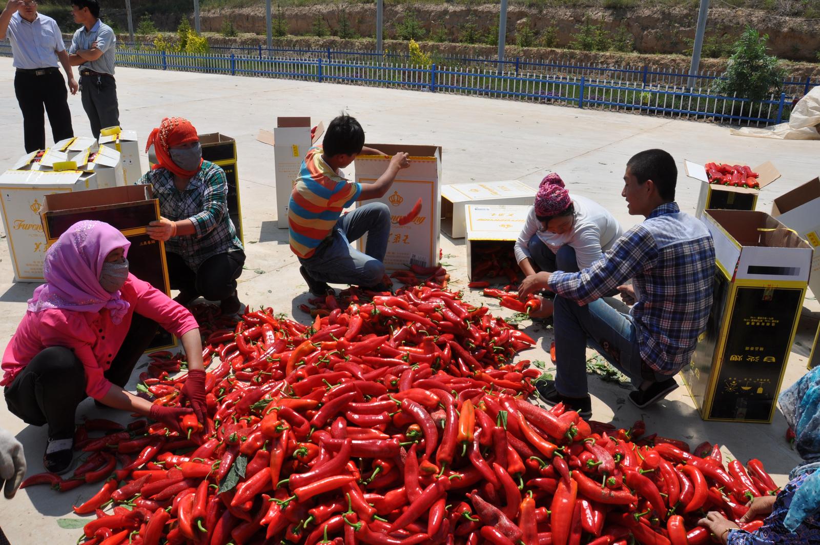 微信图片_20221123174711.jpg 微信图片_20221123174711.jpg