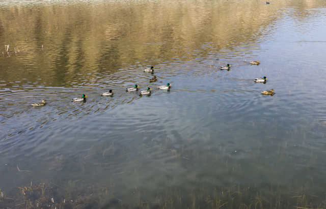 DJI_0087.jpg DJI_0087.jpg