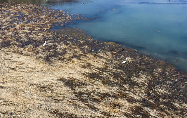 DJI_0127.jpg DJI_0127.jpg