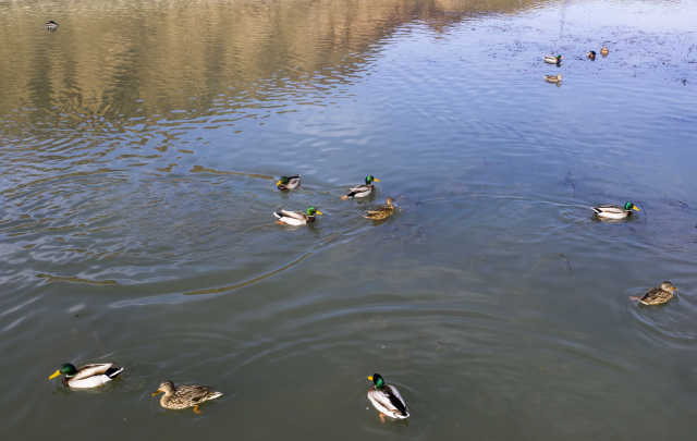 DJI_0143.jpg DJI_0143.jpg