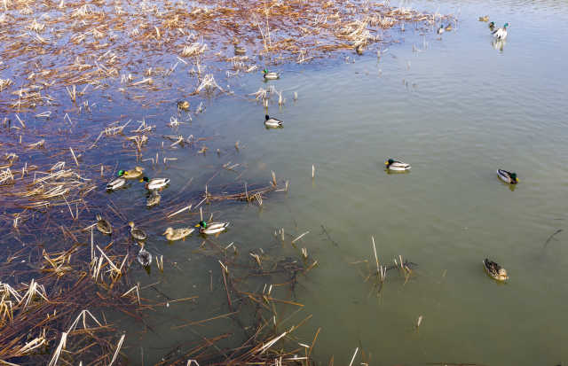 DJI_0158.jpg DJI_0158.jpg