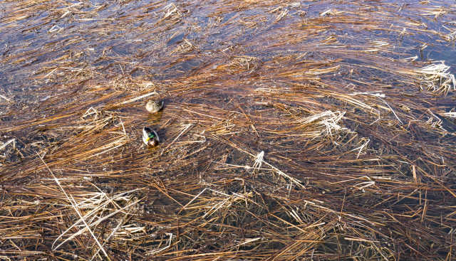 DJI_0159.jpg DJI_0159.jpg