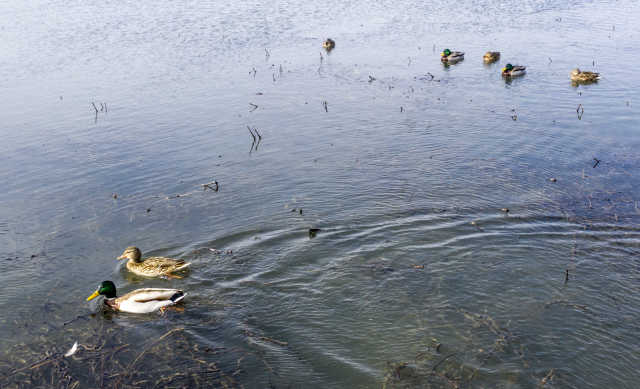 DJI_0199.jpg DJI_0199.jpg