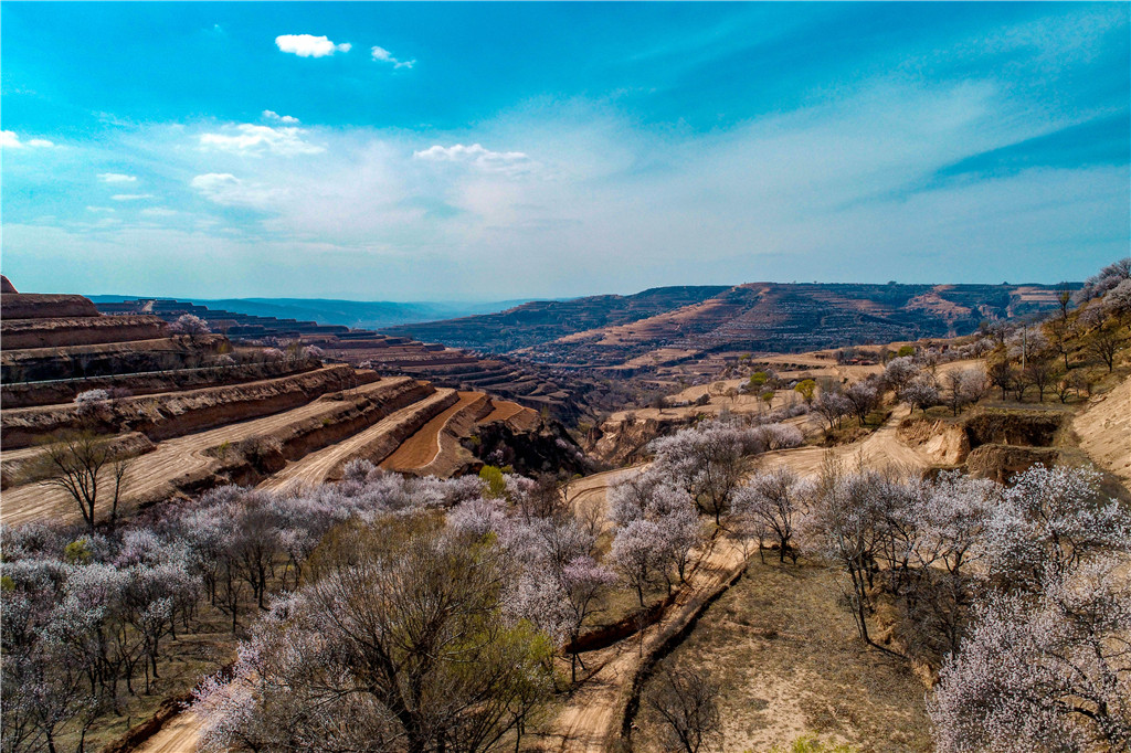 DJI_0125.jpg