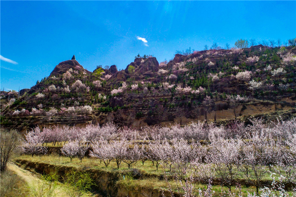 DJI_0112.jpg