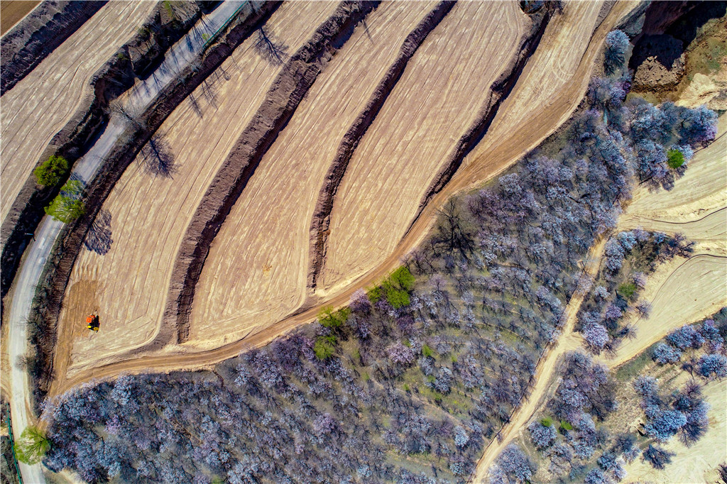DJI_0170.jpg