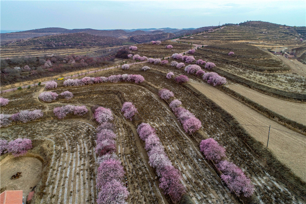 DJI_0319.jpg