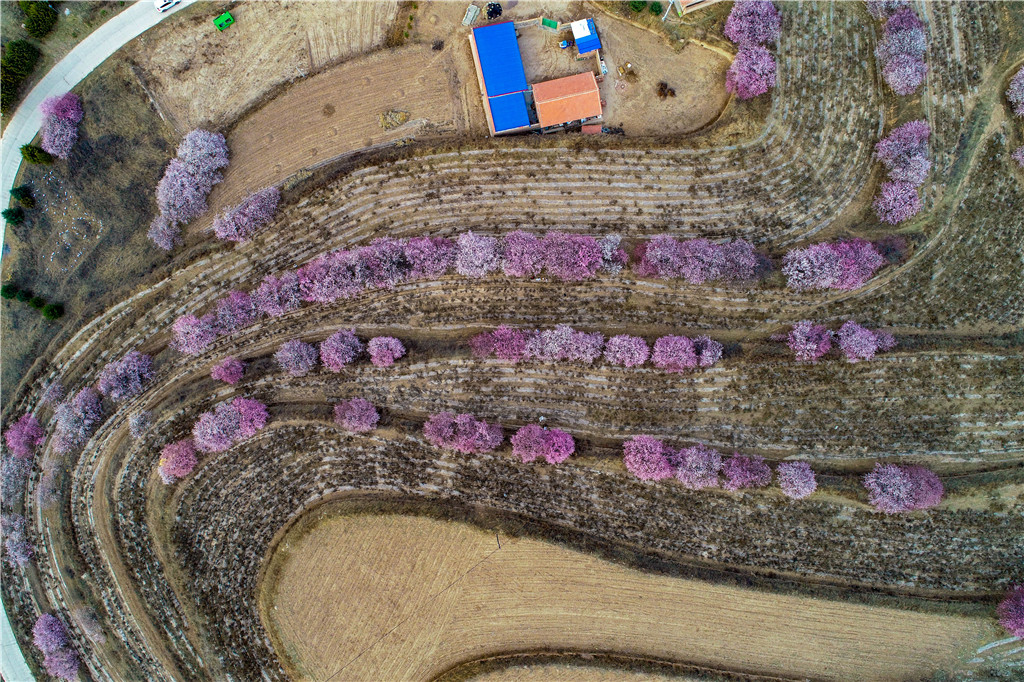 DJI_0328.jpg