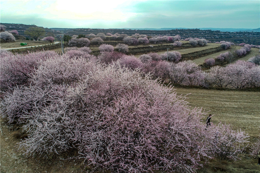 DJI_0395.jpg