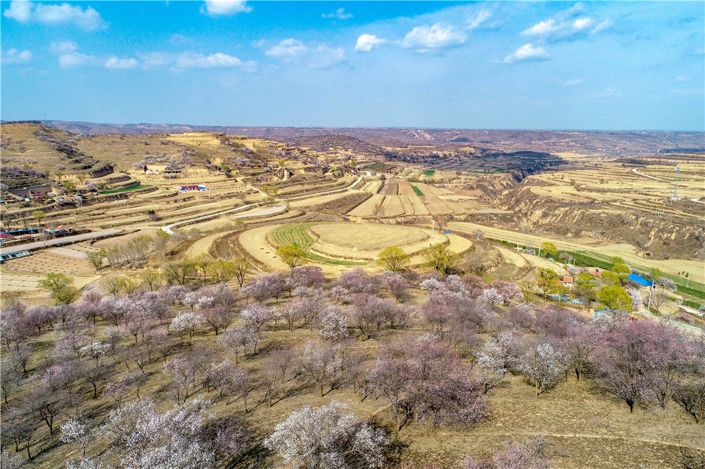 DJI_0676.jpg
