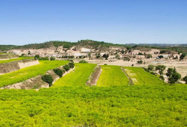 微信图片_20200530162215.jpg 微信图片_20200530162215.jpg