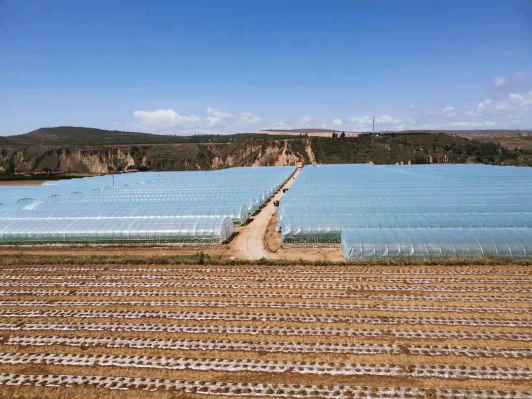 微信图片_20200604183612.jpg 微信图片_20200604183612.jpg