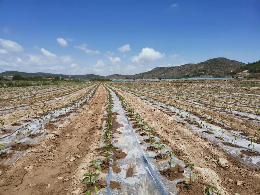 微信图片_20200604183623.jpg 微信图片_20200604183623.jpg