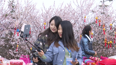 11.gif