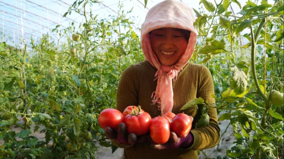 微信图片_20220119230315.jpg 微信图片_20220119230315.jpg