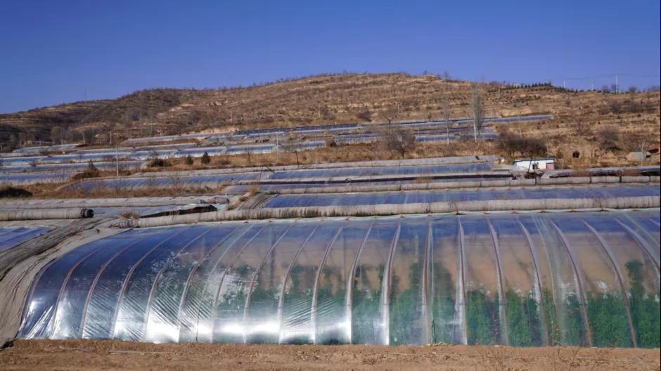 微信图片_20220119230351.jpg 微信图片_20220119230351.jpg