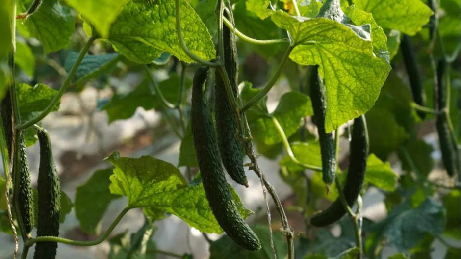 微信图片_20220119230354.jpg 微信图片_20220119230354.jpg