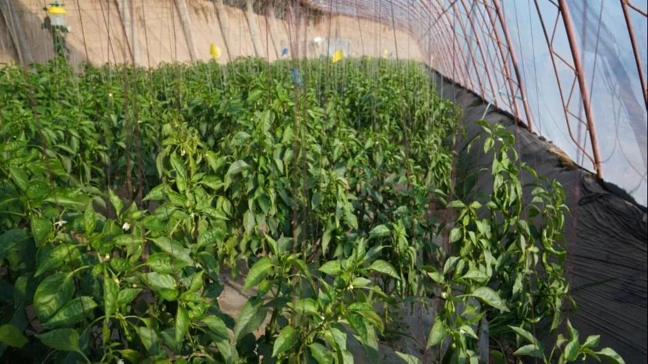 微信图片_20220119230418.jpg 微信图片_20220119230418.jpg