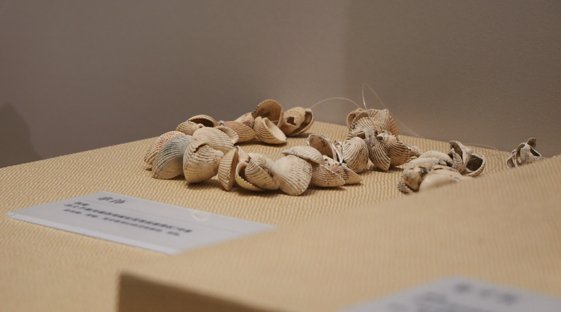 QQ20250120-205459.png QQ20250120-205459.png