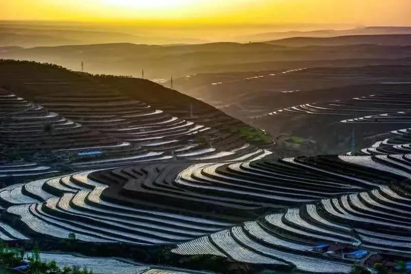微信图片_20200812090307.jpg