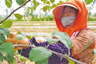 <p>　　村民家门口务工增收。</p>