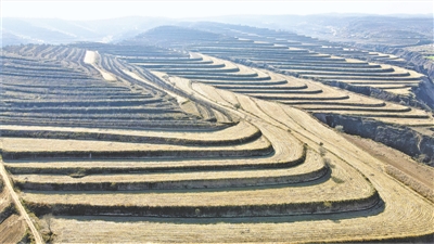 <p>　　通过政府引导、企业参与，中药材种植向规模化方向发展。</p>