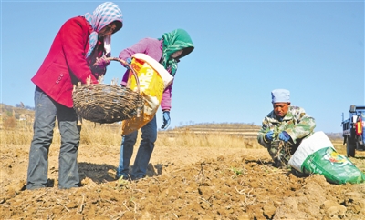 <p>　　中药材产业为当地群众提供务工机会。</p>