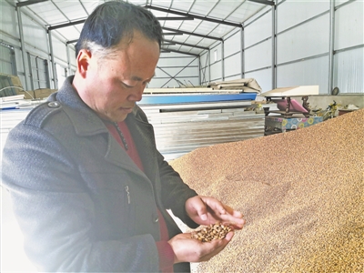 <p>　　优质山桃、山杏仁带来商机。</p>