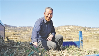 <p>　　药材丰收季，喜悦之情溢于言表。</p>