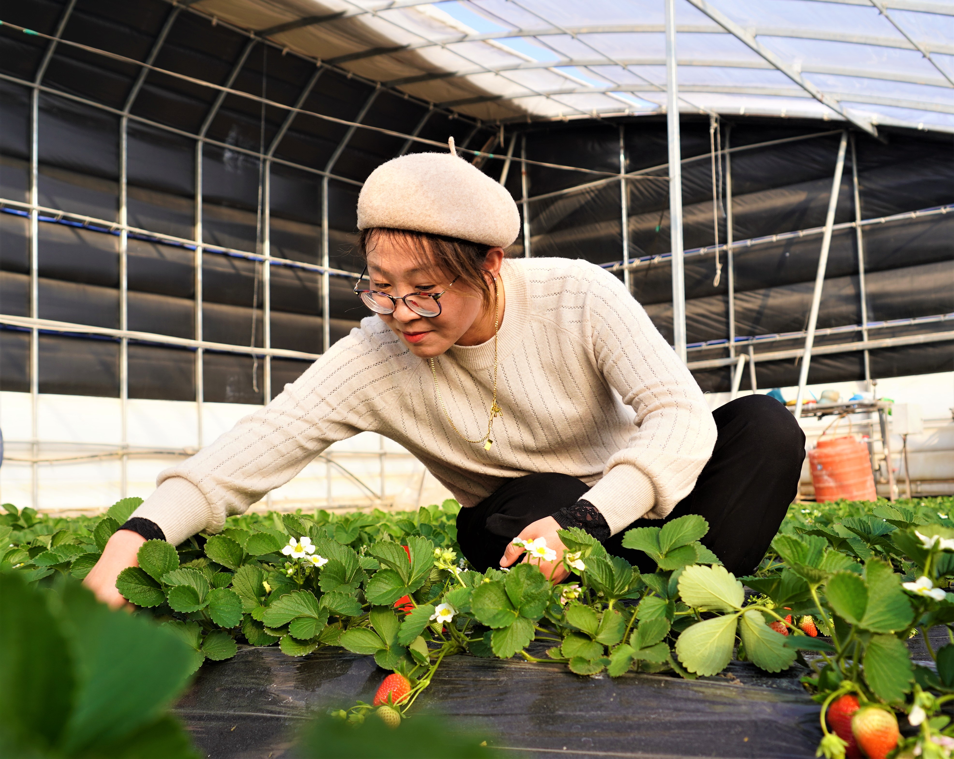 976555.jpg 976555.jpg