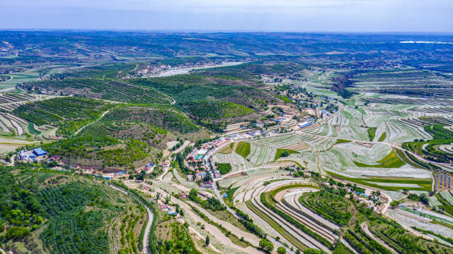 DJI_0201.jpg