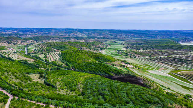 DJI_0208.jpg